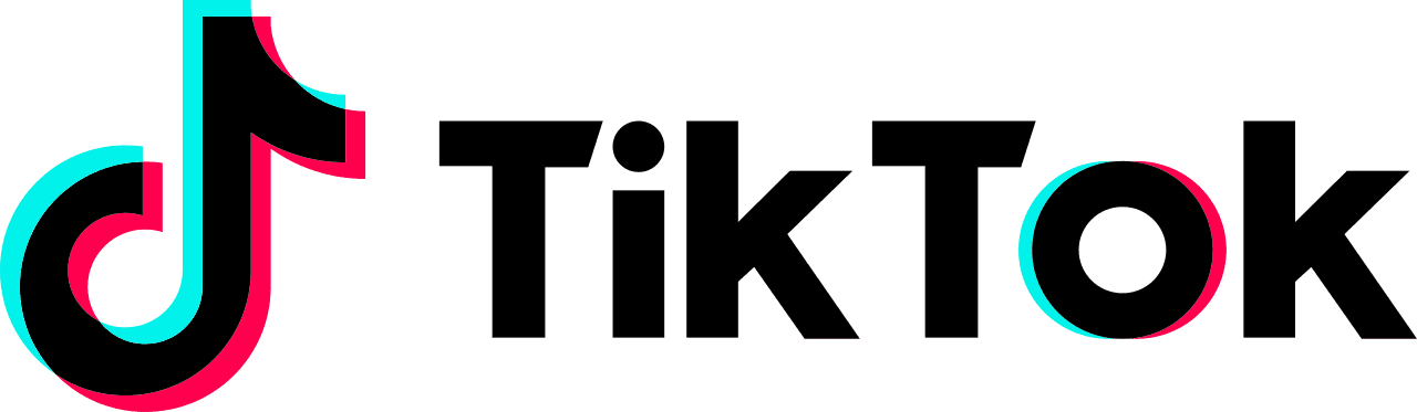 TikTok — distribution partner